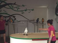 -南戴河国际娱乐中心