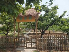 -丽泽山庄·生态怀柔菜·虹鳟鱼(红螺寺店)