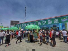android_upload_pic-奥帕拉拉水公园