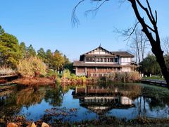-三垟湿地