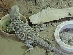 -鄂尔多斯野生动物园