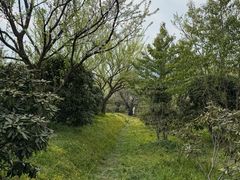 -名花谷生态庄园