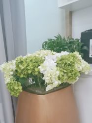 -素美医疗美容·西南眼鼻整形·修复基地