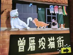 -有猫主题·治愈系猫咖(曾厝垵店)