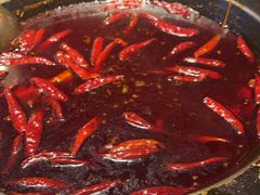 -蜀大侠火锅(总府路店)