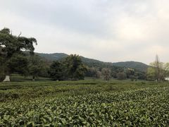 -北高峰