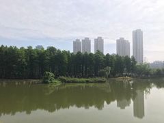 -汉水公园