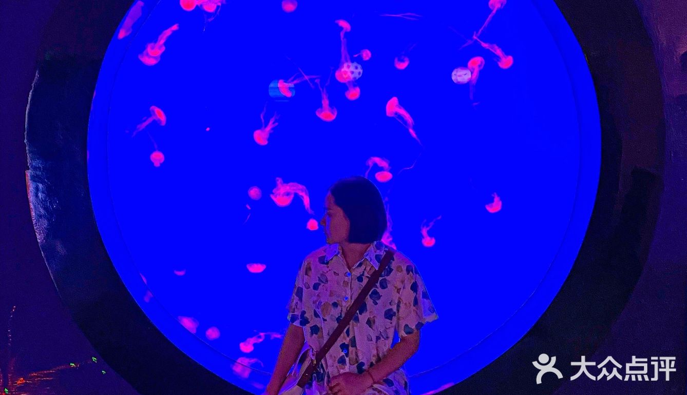 🐬逛浪漫海洋公园，看梦幻飞天游✨