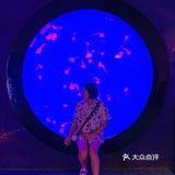 🐬逛浪漫海洋公园，看梦幻飞天游✨