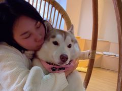 -Husky Go! 哈士奇体验馆·宠物咖啡厅狗咖