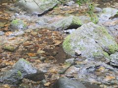 -关门山森林公园