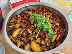 -食神又名厕所兔