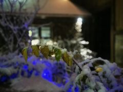 -汉拿山温泉度假酒店