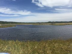 景点-塞罕坝国家级自然保护区