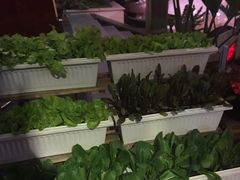 -鹭岛新泉客家菜·海鲜·融合菜(莲前店)