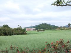 -光明小镇欢乐田园