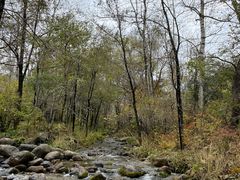 -玉渡山自然风景区