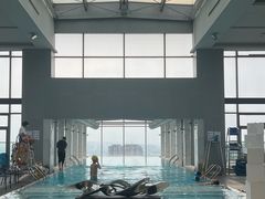 -上海浦东康桥绿地假日酒店