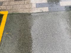 -膳当家黄焖鸡米饭(万科棉花广场店)