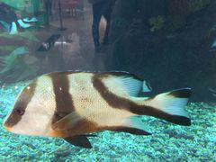 -鸿通城购物中心