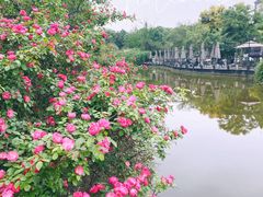 -成都南湖公园