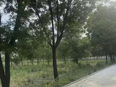 -北京群众马术培训基地