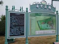 -荷兰花海