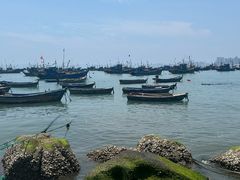 -海源公园