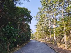 -田野绿世界