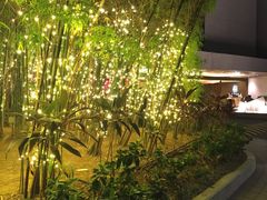 -新加坡泛太平洋酒店
