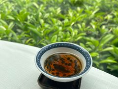 -寻味顺德·顺峰山庄(大良店)