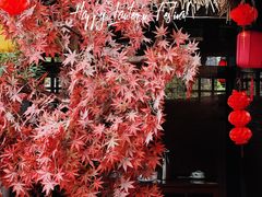 -园林美食城·本土农家菜(杨和镇店)