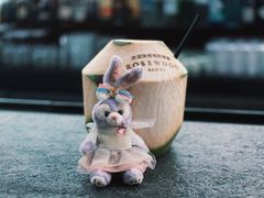 -瑰丽酒店·海吧·天际下午茶·现场DJ·天台酒吧