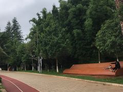 -洛龙公园