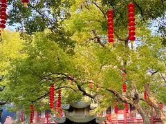 -杭州上天竺法喜讲寺
