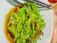 -雀蓝川菜(奥体广场店)