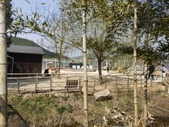 -原乡小镇度假乐园