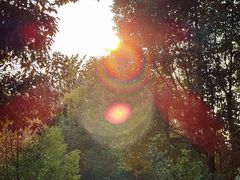 -白鹭湾湿地公园