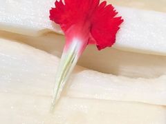 -小龙坎火锅(双林店)