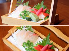 北极贝-石葵(锦业时代店)