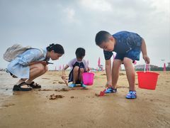 -日照海滨国家森林公园