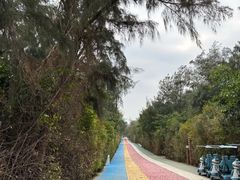 -厦门湾·白塘湾火山公园