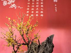 -颐和园