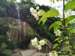 -碓臼峪自然风景区