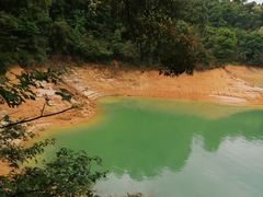 -广州市流溪河国家森林公园