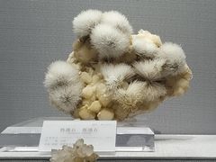 -湖南省地质博物馆