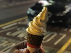 -富豪雪糕车流动点(尖沙咀)