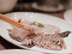清蒸老鼠斑-協成海鮮火鍋(老店)