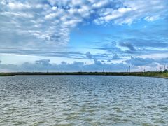 -盐城丹顶鹤湿地生态旅游区