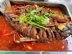 -鱼乐岛餐厅·户外花园主题餐厅